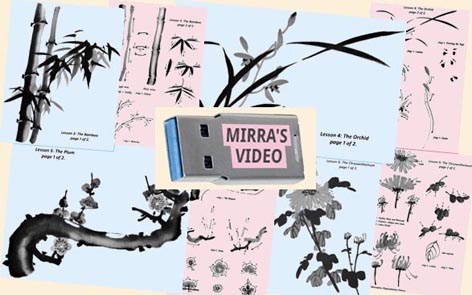 Mirra's Video: Brush Painting Chinese Way USB